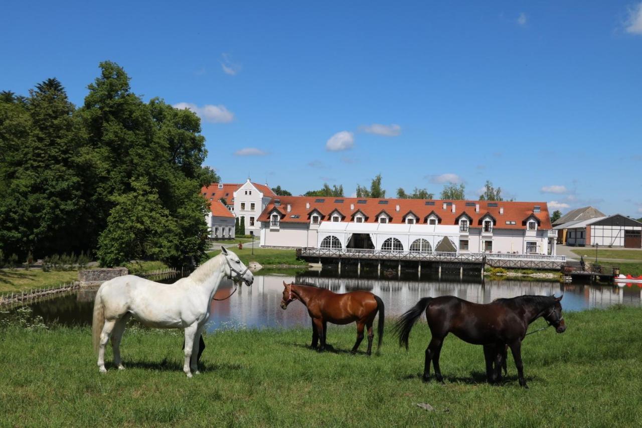 Palac Mortegi & Spa- Restauracja Szlachecka, Spa, Basen, Sauny, Jazda Konna, Mini Zoo- Luksus, Relaks I Przyroda W Jednym! Hotel